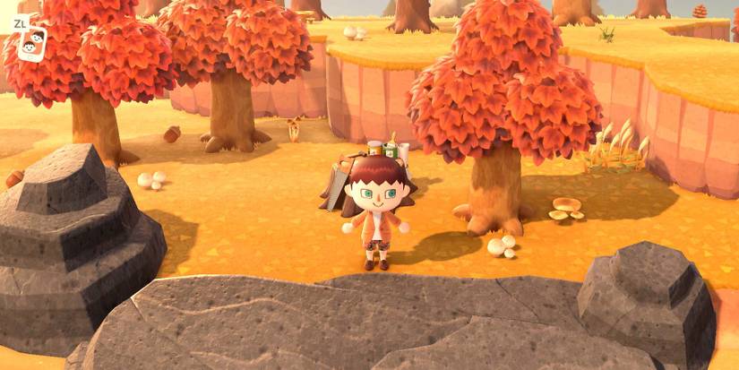 mushroom island animal crossing new horizons