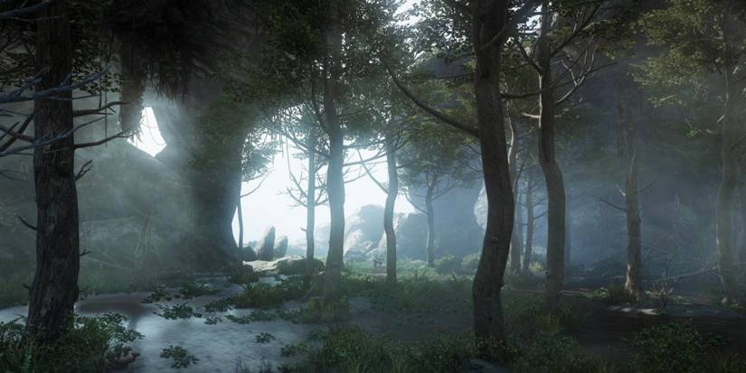 New World Dark Forest