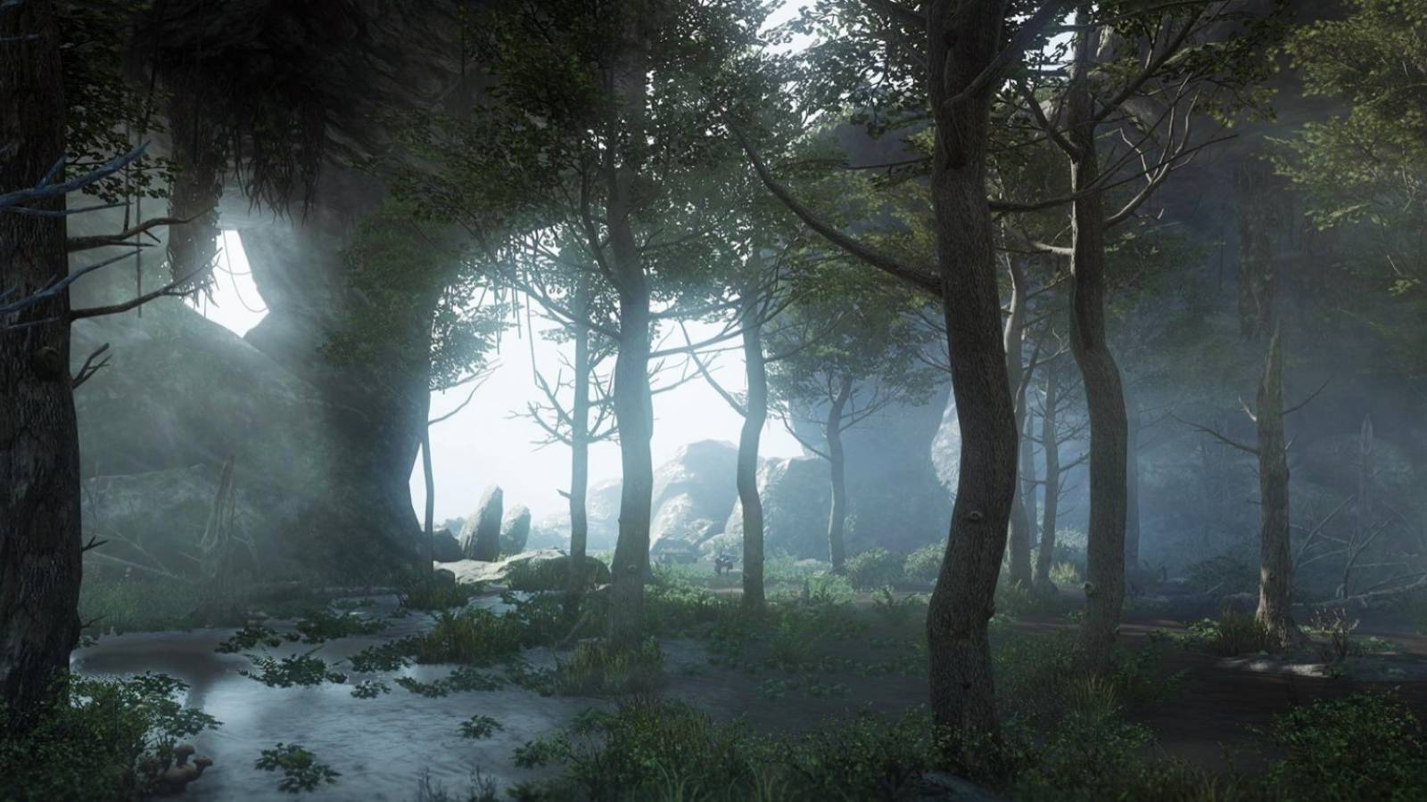 New World Dark Forest