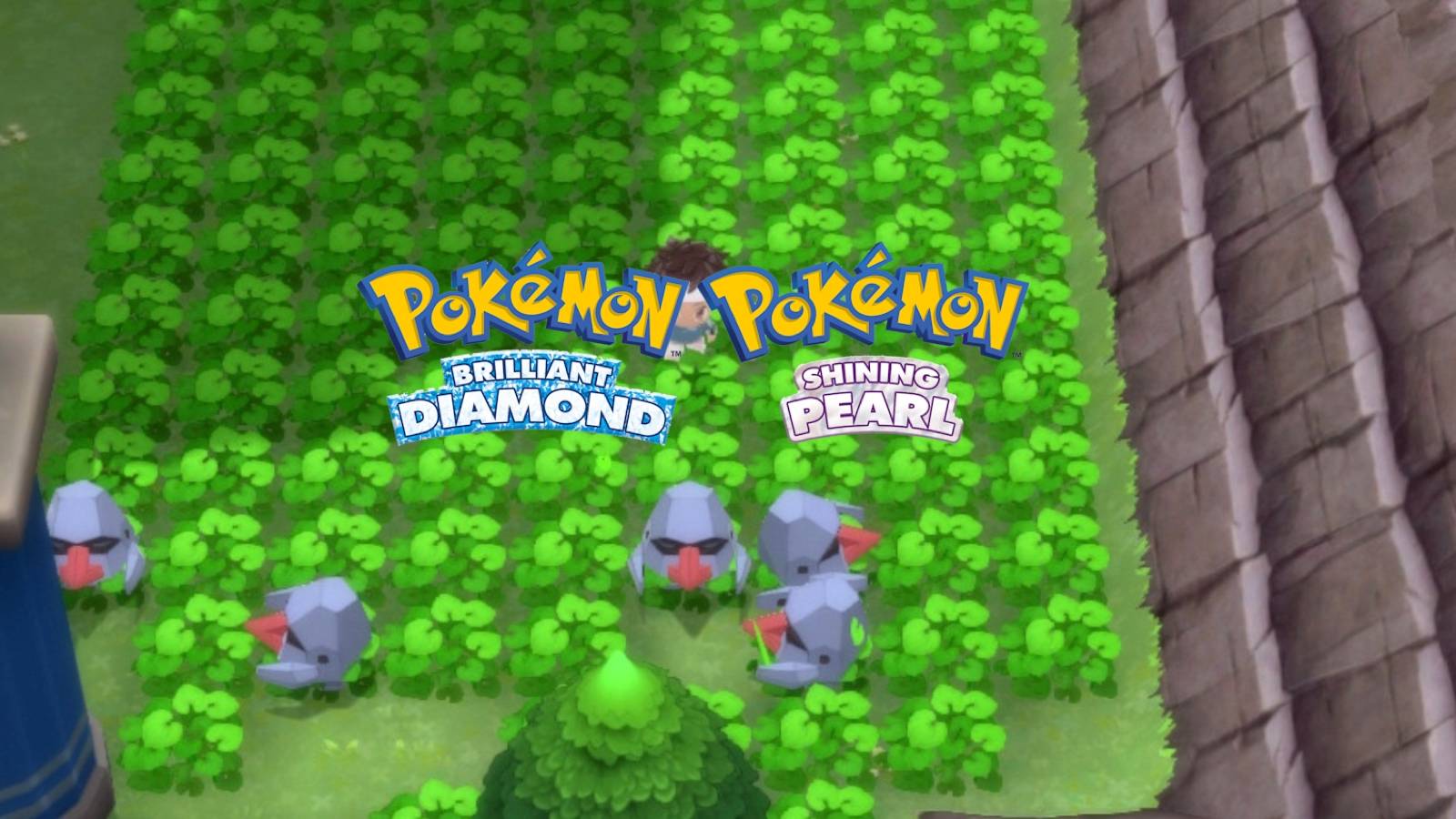 nosepass-swarm-pokemon-bdsp-1