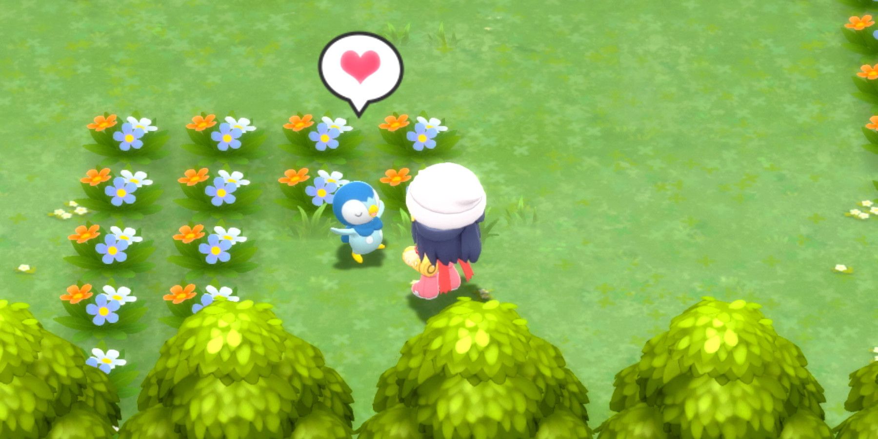 How to walk with your Pokemon in Pokemon Brilliant Diamond