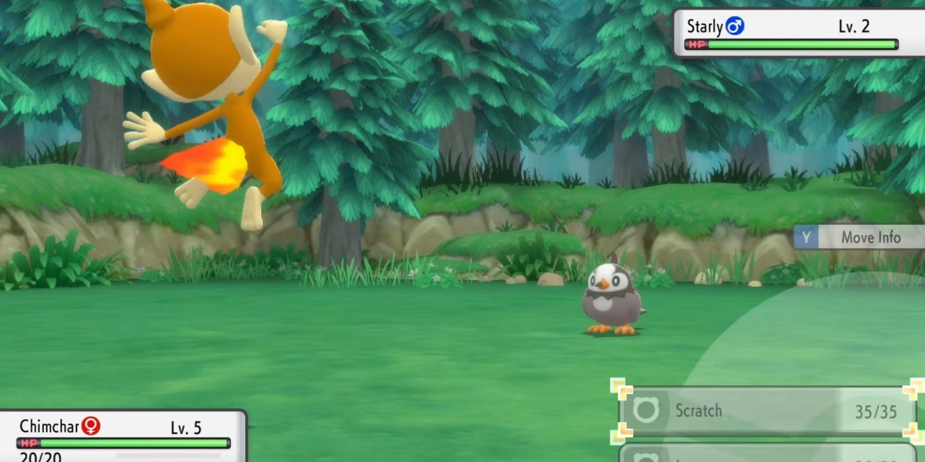 shiny starly