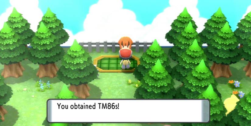 pokemon-brilliant-diamond-shining-pearl-cynthia-guide-03-grass-knot-location