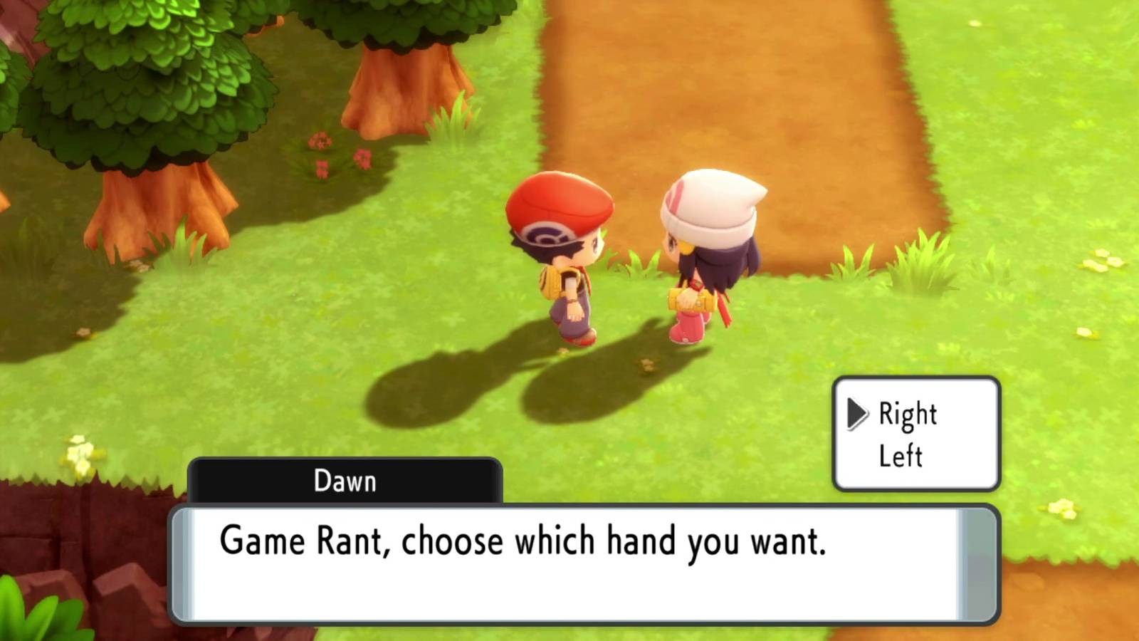 pokemon-brilliant-diamond-shining-pearl-dawn-left-right-hand-choice