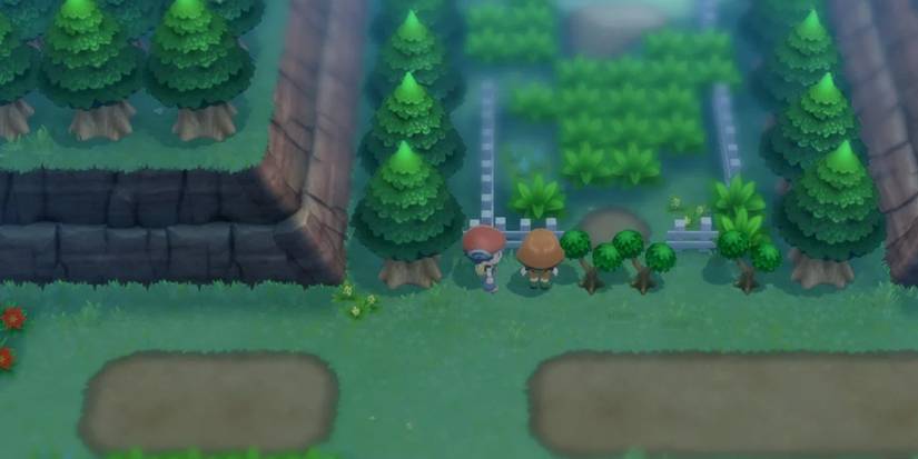 pokemon brilliant diamond shining pearl eterna forest