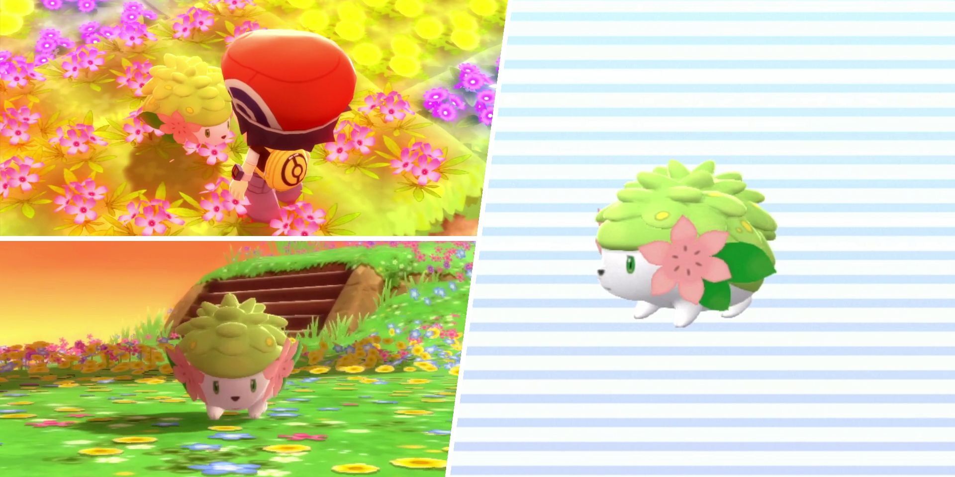 Shaymin Added to Brilliant Diamond and Shining Pearl, Can Be Shiny