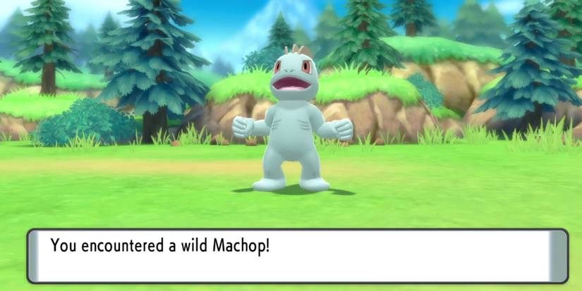 Pokemon Brilliant Diamond Shining Pearl Machop