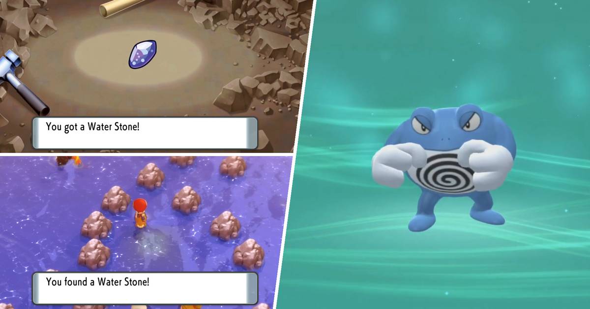 Shellder Pokemon Brilliant Diamond