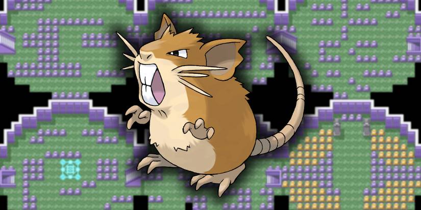 Raticate in the Pokemon Tower.