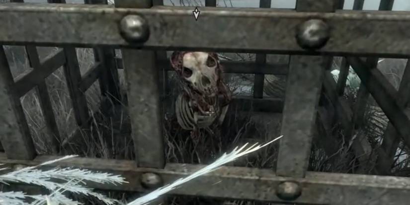 Skyrim Anniversary Edition Bone Wolf