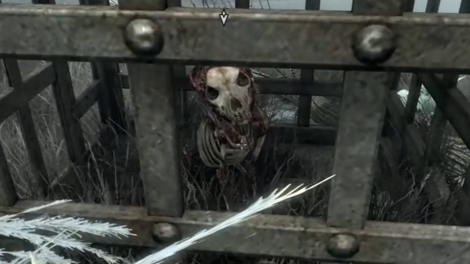 Skyrim Anniversary Edition Bone Wolf