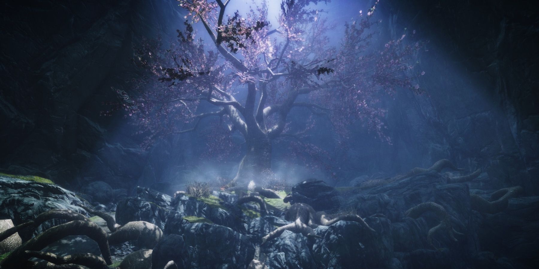 Wise mystical tree found in Eldergleam sanctuary : r/SkyrimMemes