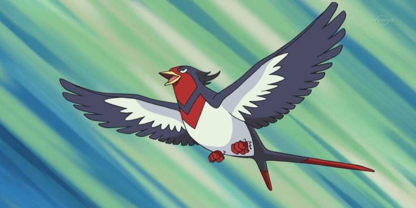 swellow Pokemon