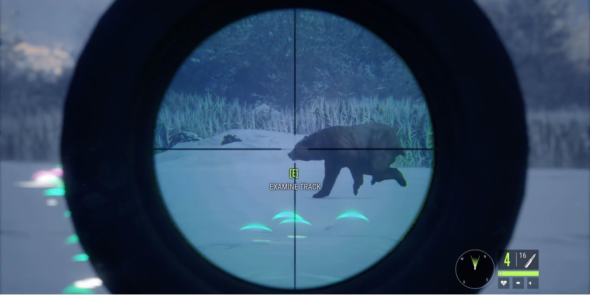theHunter_ Call of the Wild - Player spots Black Bear