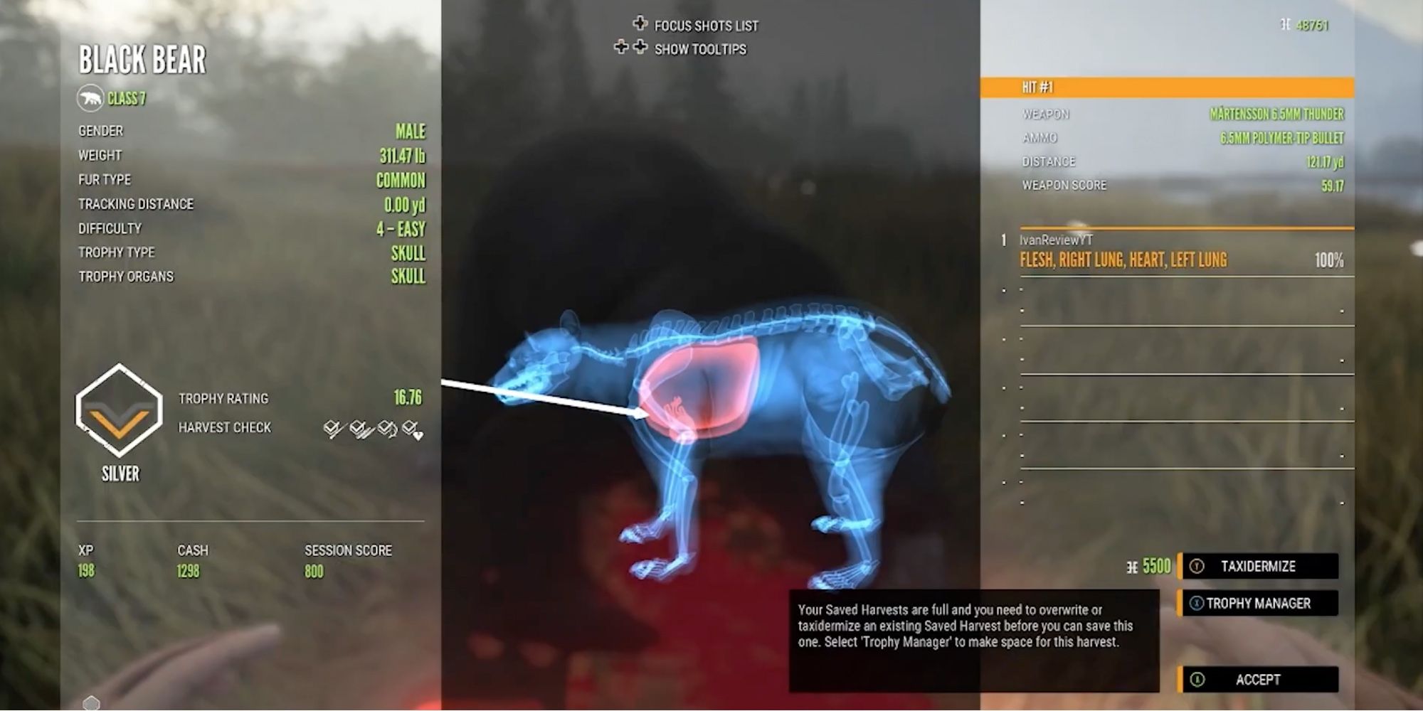 theHunter_ Call of the Wild - Player hit Black Bear in the lungs