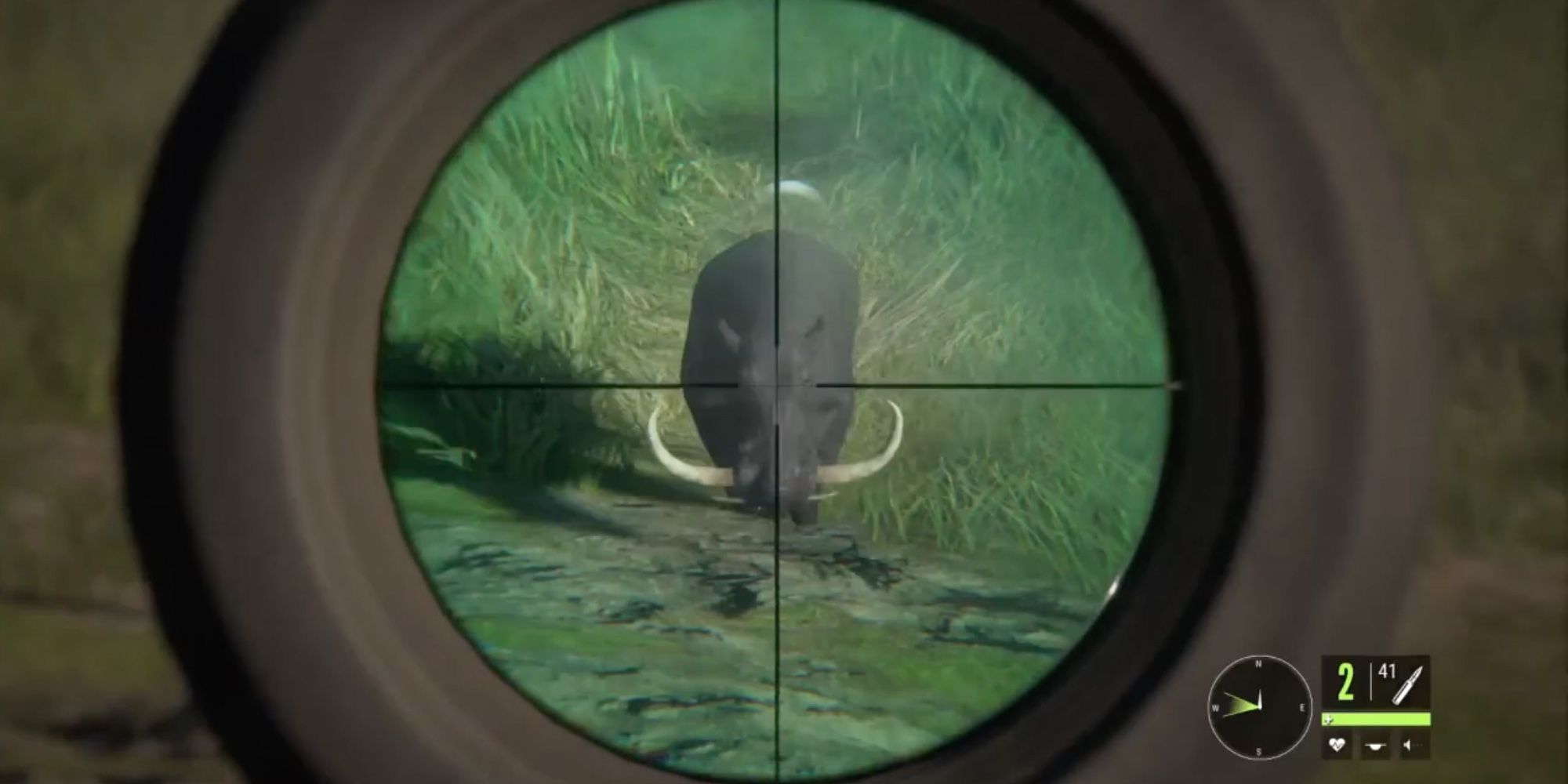 theHunter: Call of the Wild - Warthog charging towards player