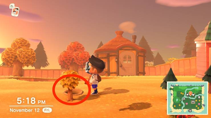 https://static0.gamerantimages.com/wordpress/wp-content/uploads/2021/11/tree-growth-animal-crossing-.jpeg?q=50&fit=crop&w=740&dpr=1.5