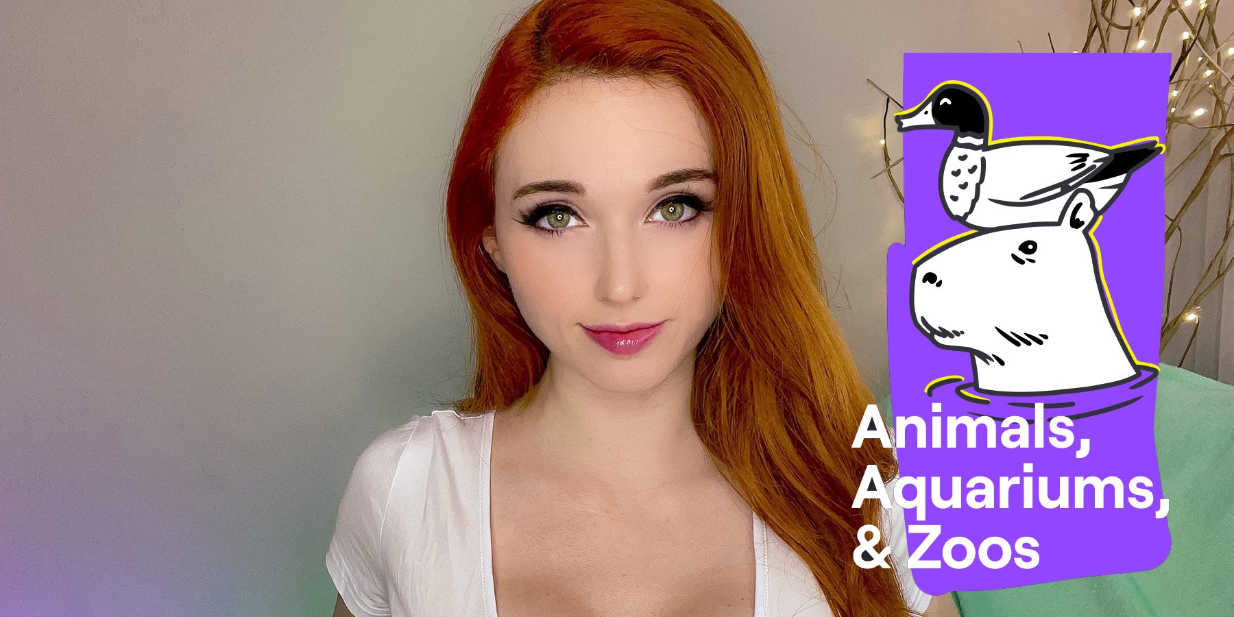 twitch amouranth