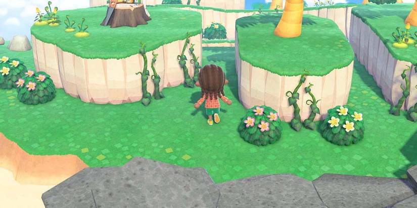 vine covered mystery island animal crossing new horizons