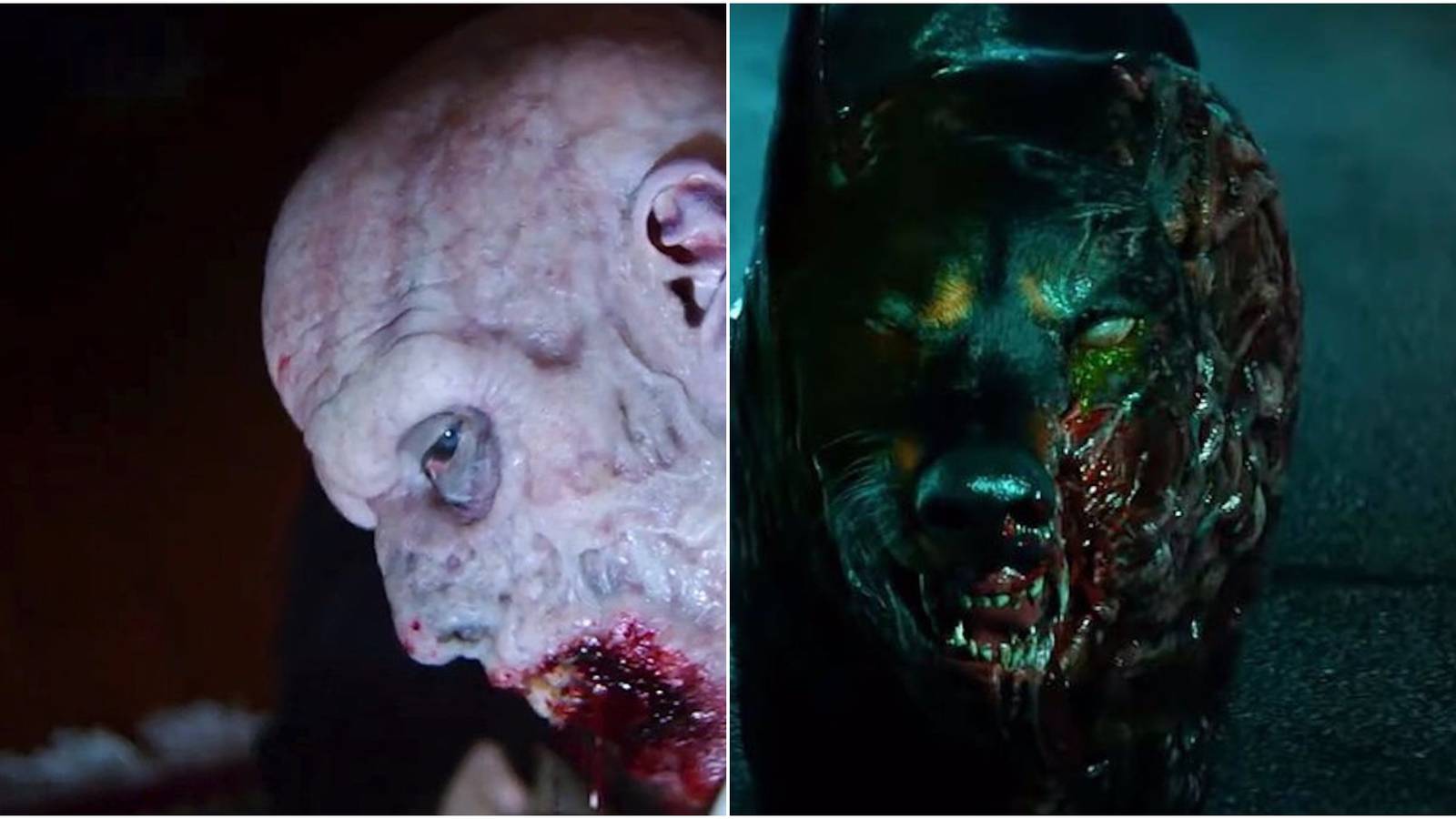 welcome to racoon city monsters split image