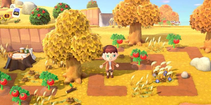 wheat mystery island animal crossing new horizons