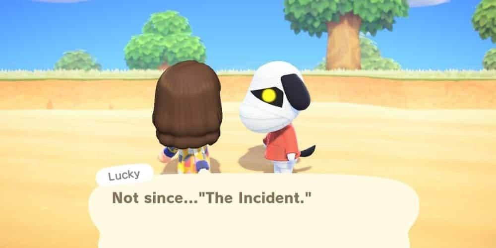 Lucky speaking to villager. 