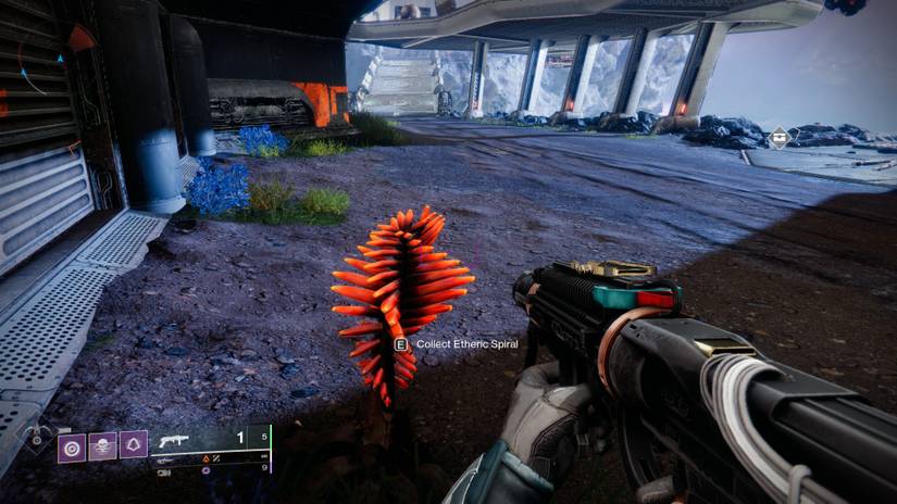 Destiny 2 Dawning 2021: How to Complete The Pigeon Provides Quest