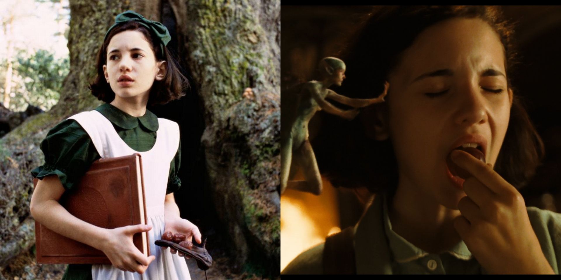 Fairy tale influences in Guillermo Del Toro's Pan's Labyrinth