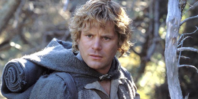 samwise gamgee lord of the rings hobbit