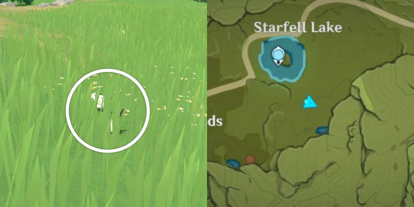 5. Snow Finch Location