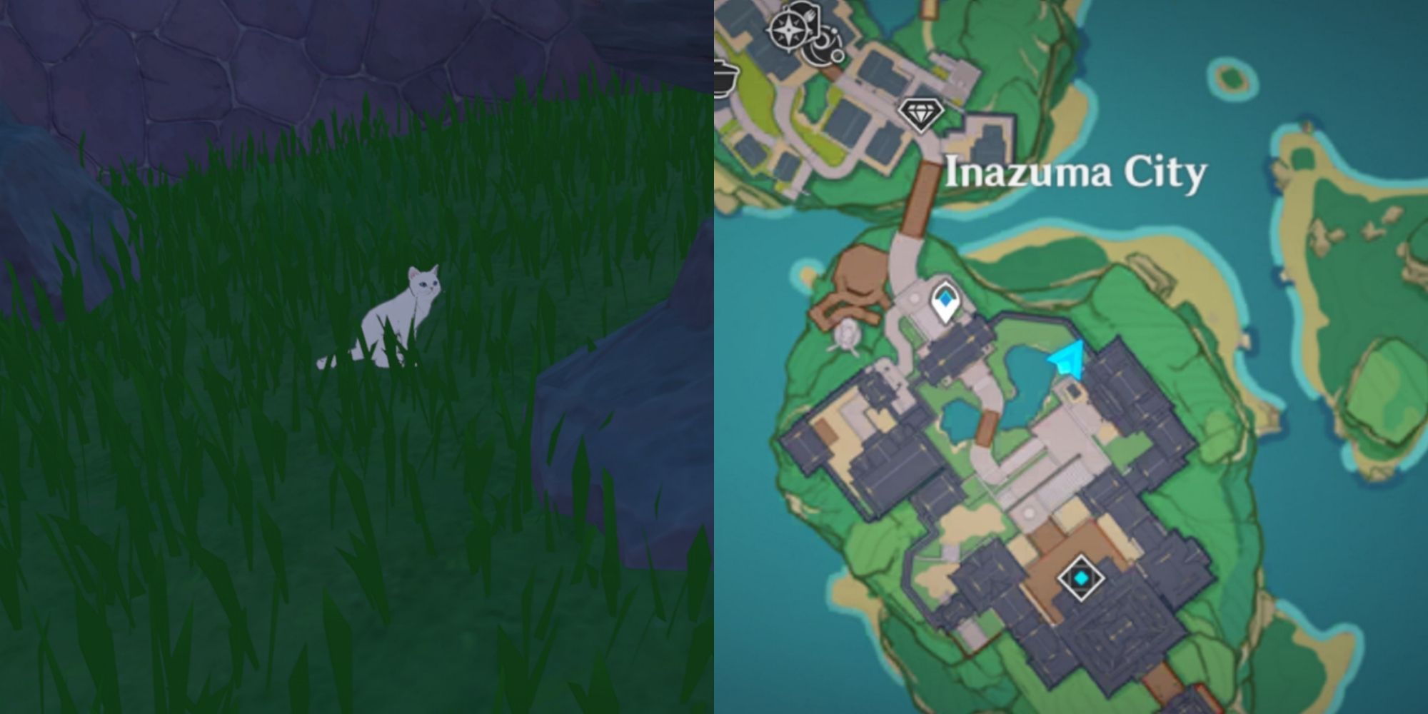 5.2. Alternate Sapphire Cat Location