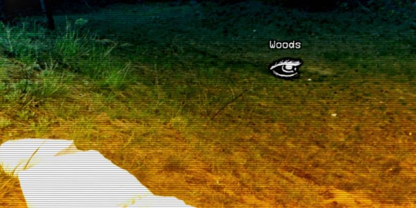 A Trip To Yugoslavia: Director's Cut