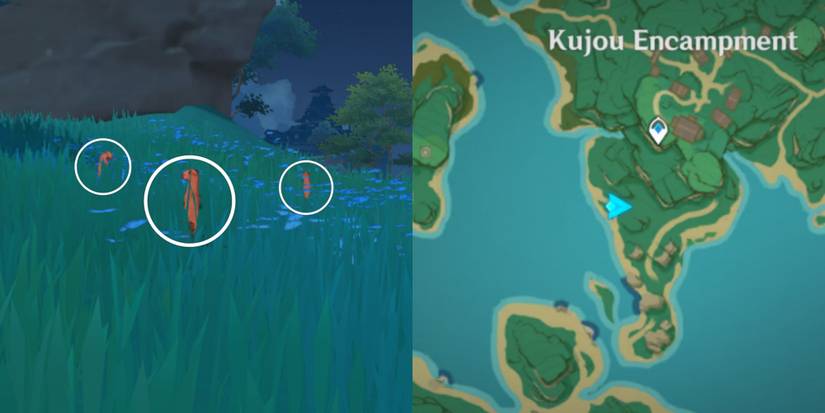 8. Red-Tailed Weasel Location in Genshin Impact