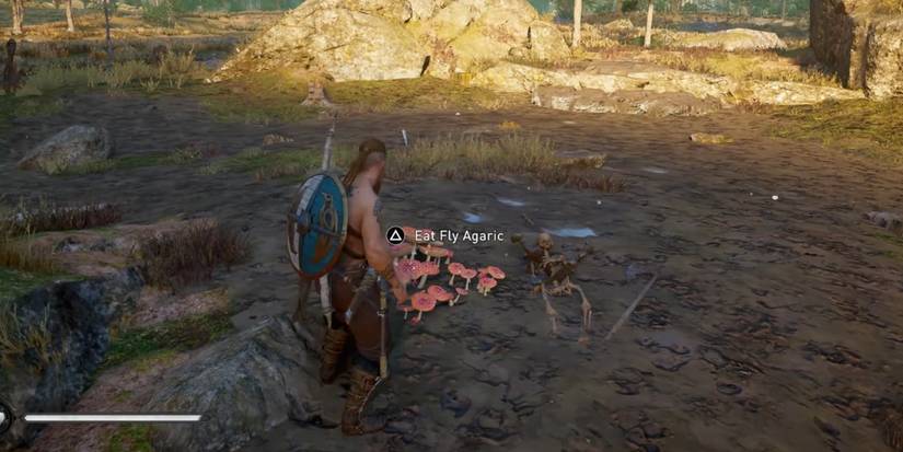 AC Valhalla Fly Agaric Essexe mushroom