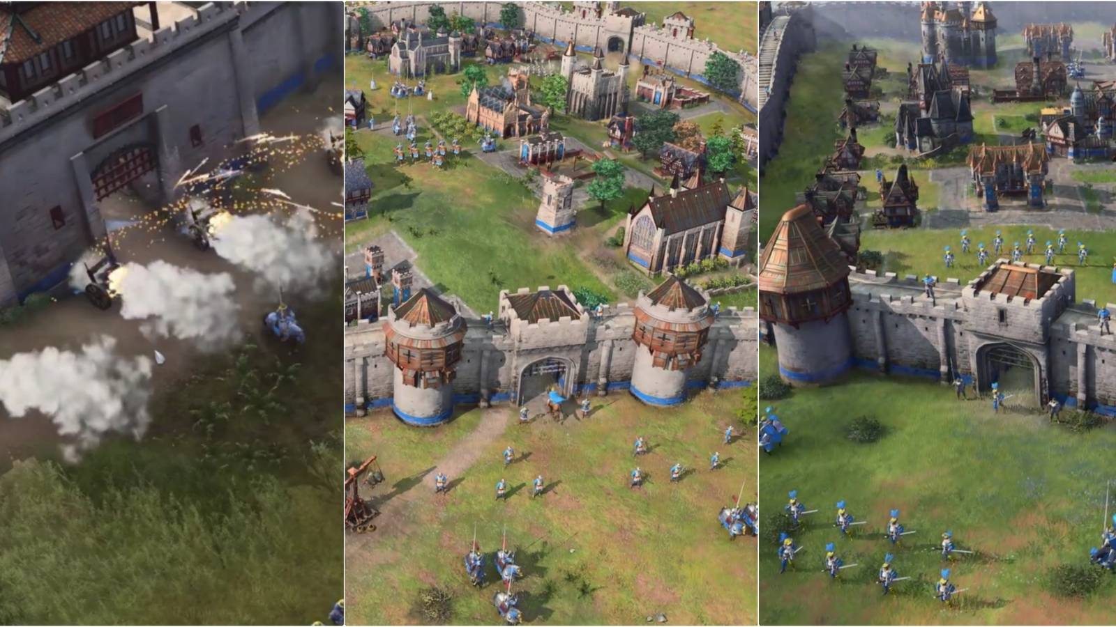 Age if Empires 4 Defensive cover