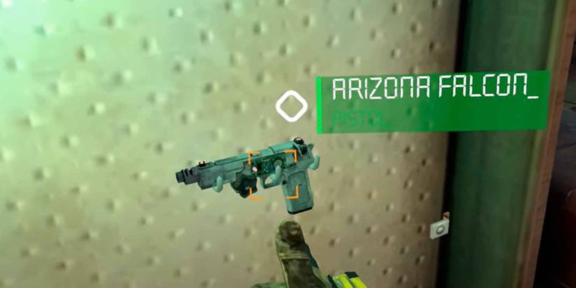 The Arizona Falcon (Desert Eagle) pistol in After The Fall