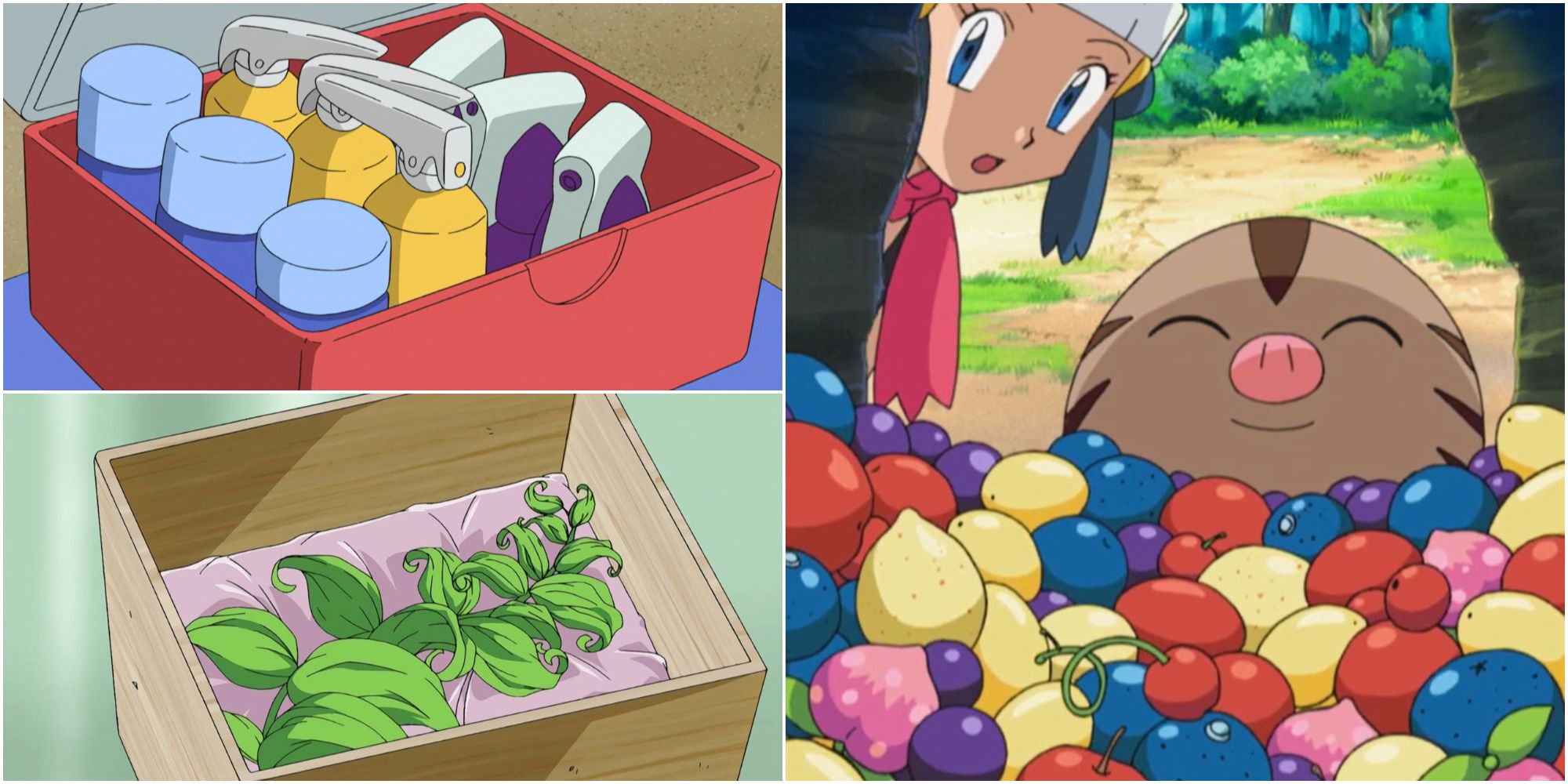 BDSP Box of Potions, a Revival Herb, and a Swinub admiring his berry collection
