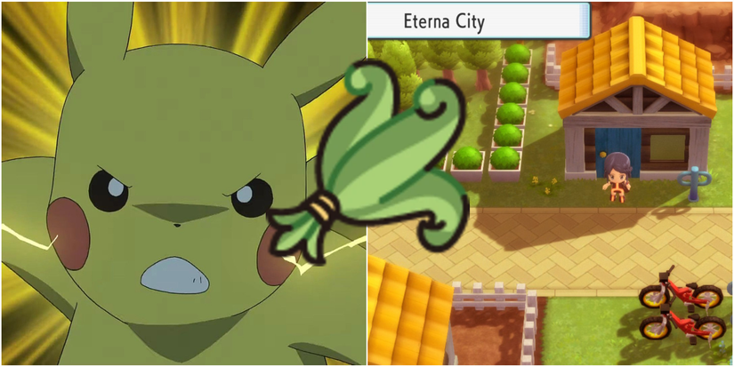 BDSP Revival Herb Angry Pikachu and Herb Shop Outdoors