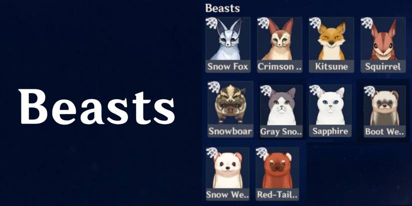 Beasts Omni-Ubiquity Net