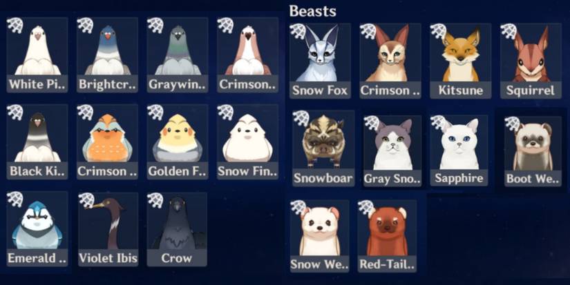 Bird and Beast Omni-Ubiquity Net