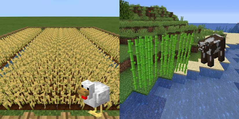 Cake ingredients in Minecraft