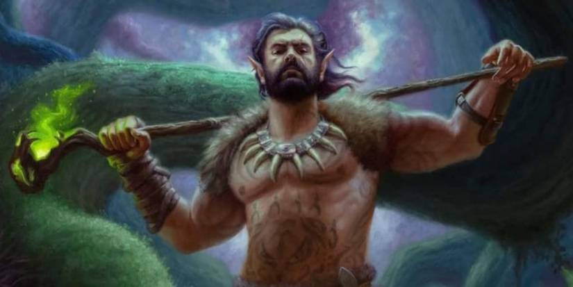 Dungeons and Dragons Circle of the Moon Druid