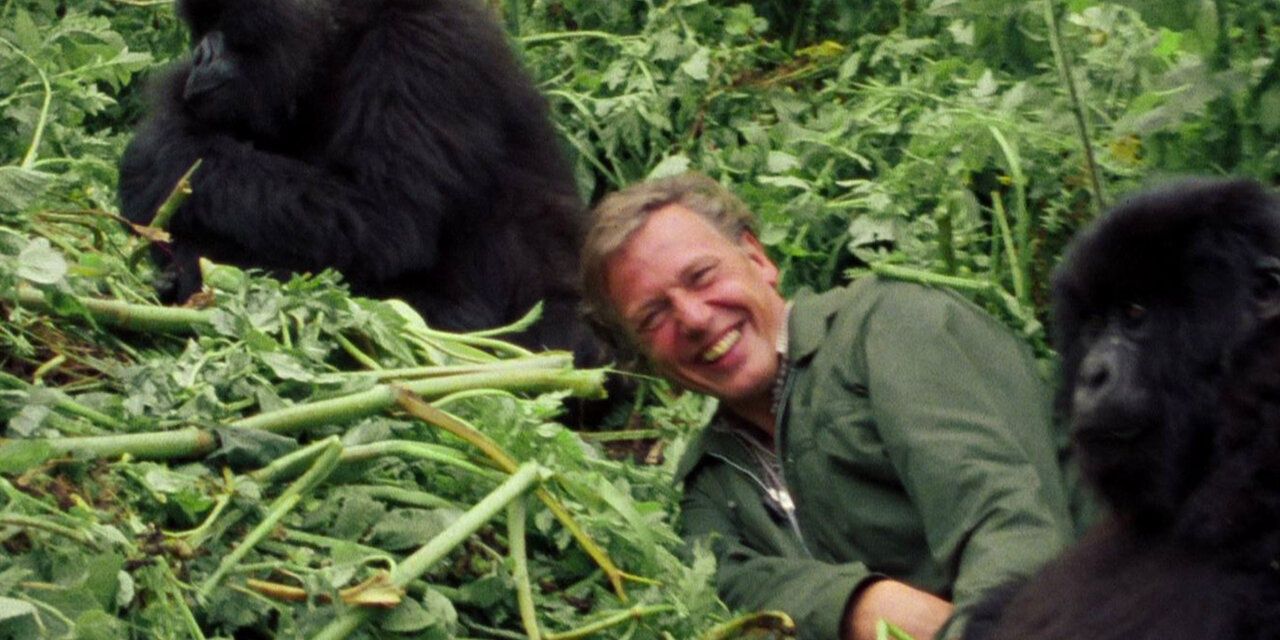 David Attenborough Life on Our Planet