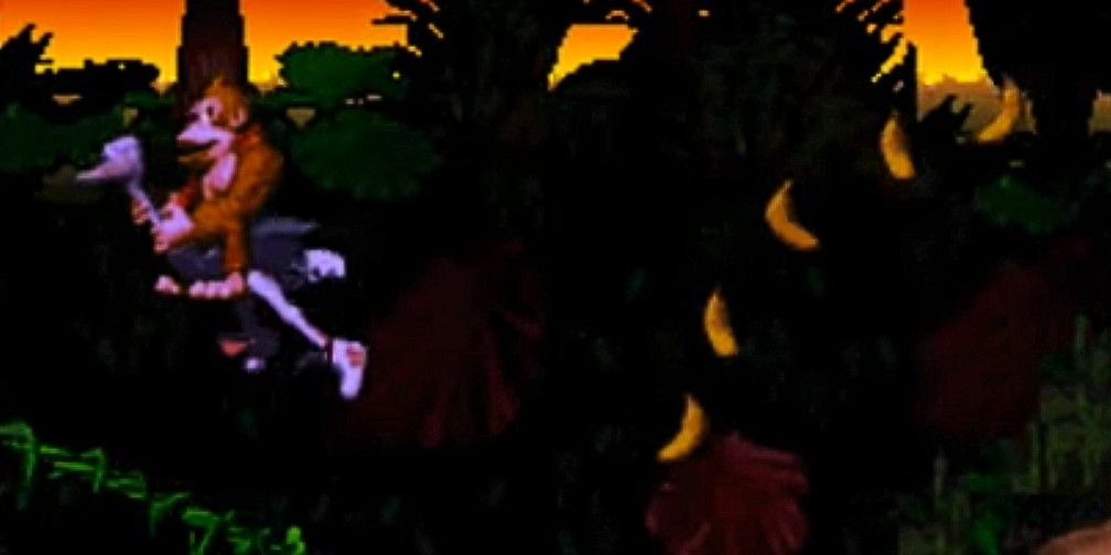 Donkey Kong riding Ostrich on vines in sunset jungle stage