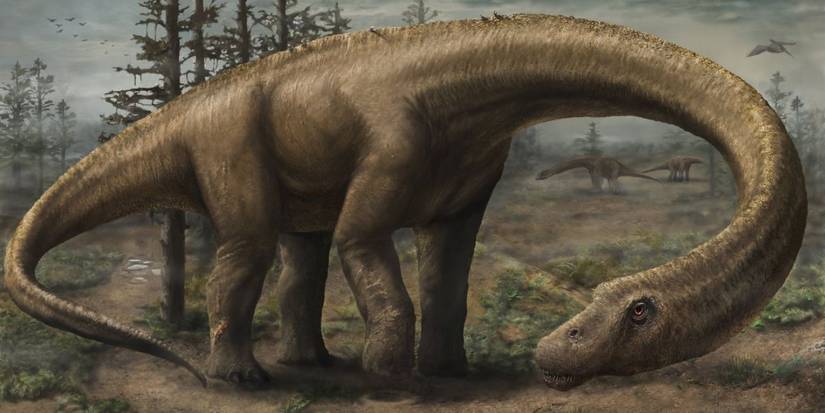 A Dreadnoughtus