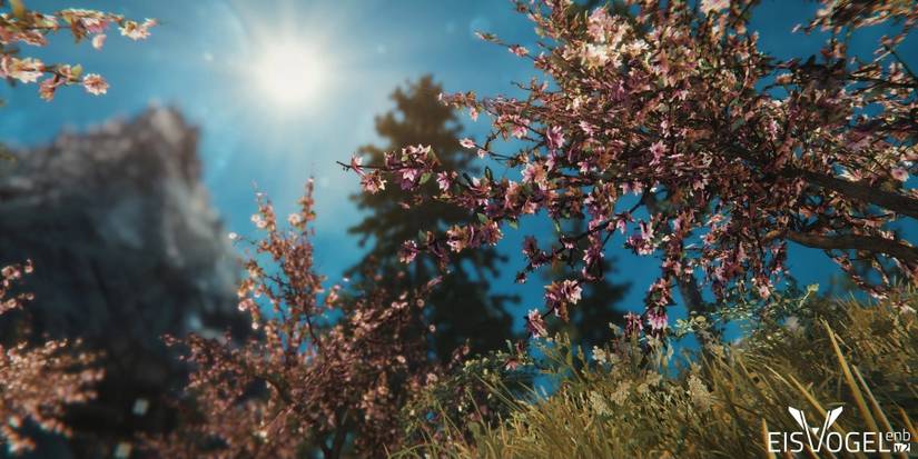 EisVogel ENB at work making some foliage and the sun beautiful in Skyrim