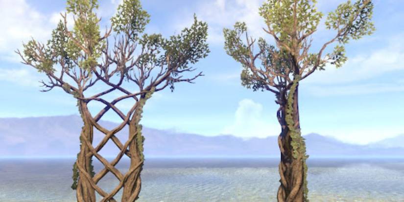 Elder Scrolls Online Best Furnishings Furniture Wood Elf Union Trellis