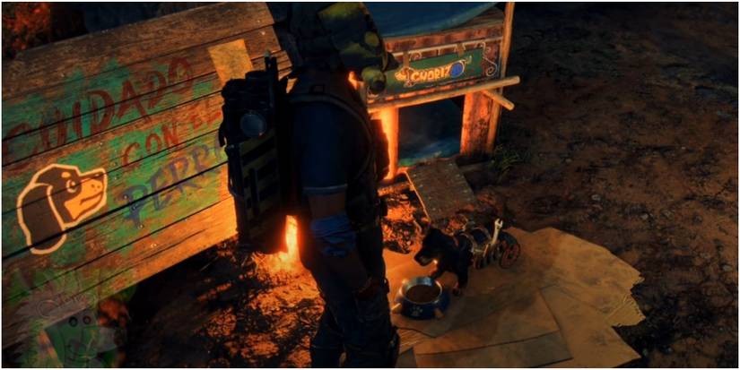 Far Cry 6 Feeding Chorizo At The Camp For Mission Completion
