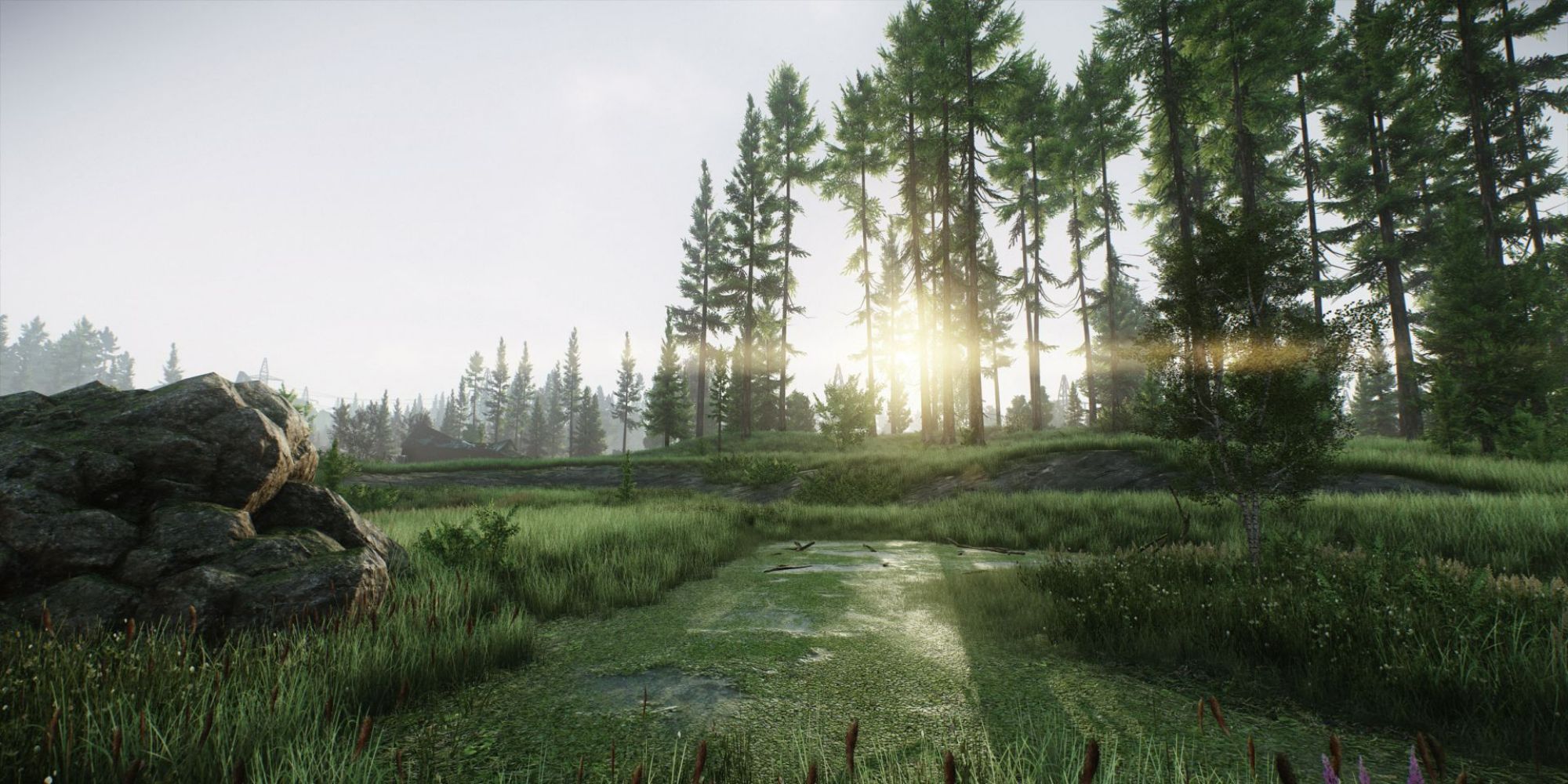 The sun shining on the forest in Escape from Tarkov