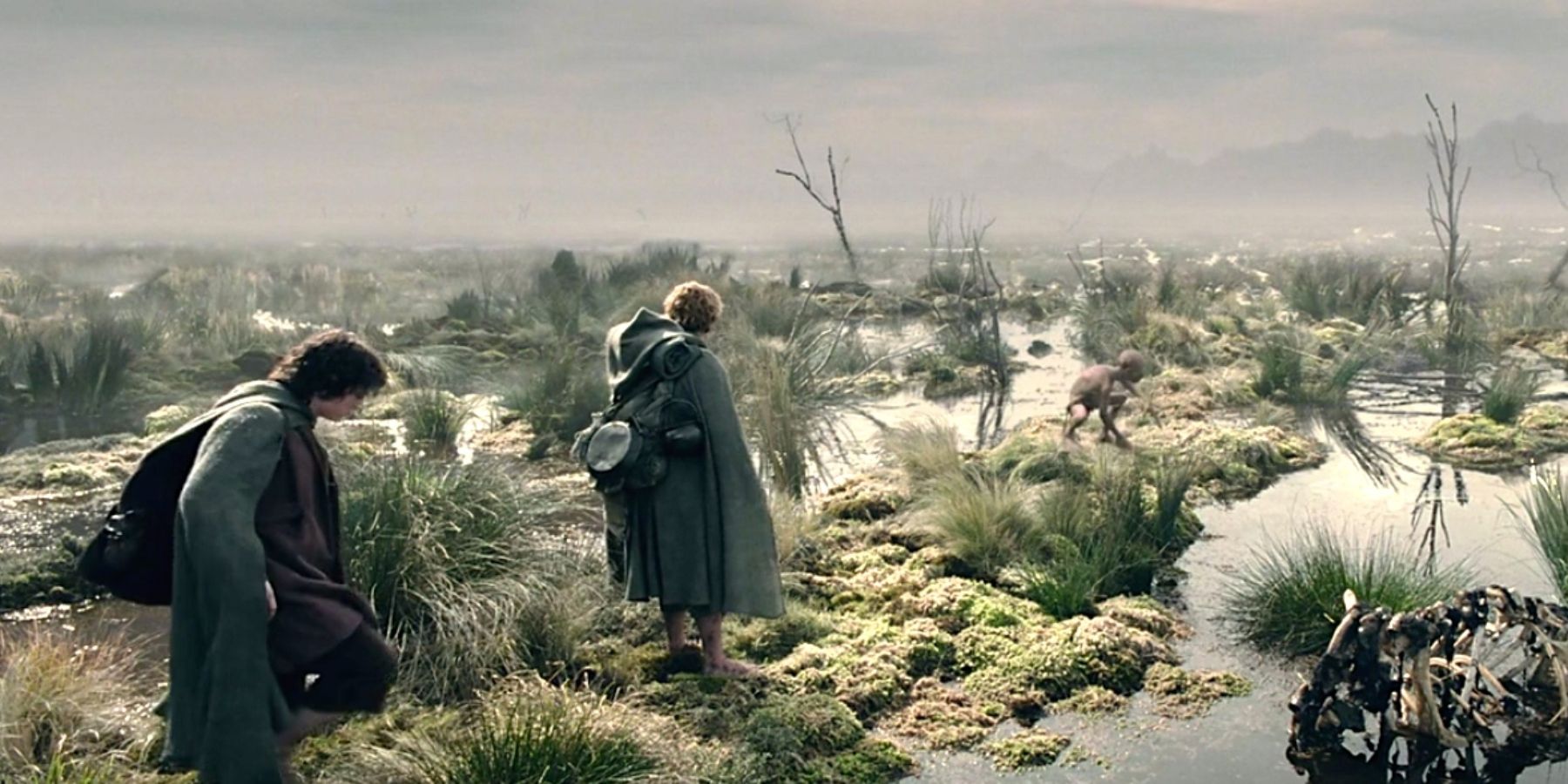 Frodo Dead Marshes